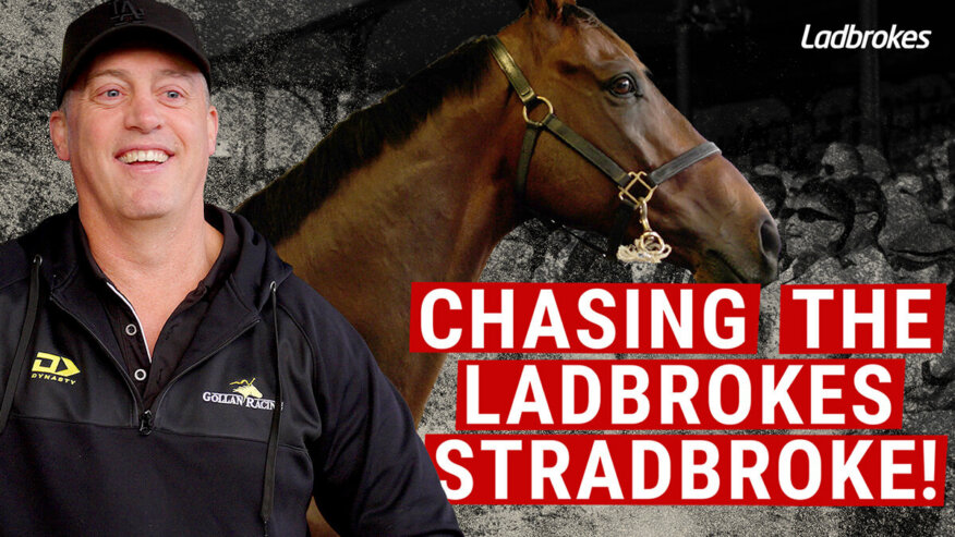 Transatlantic | Chasing The Ladbrokes Stradbroke