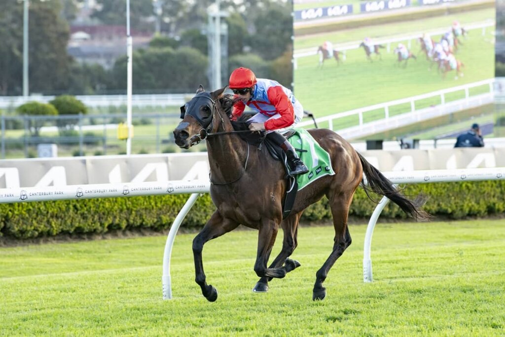 Outsider Racing Tips -
Captain Fenkel