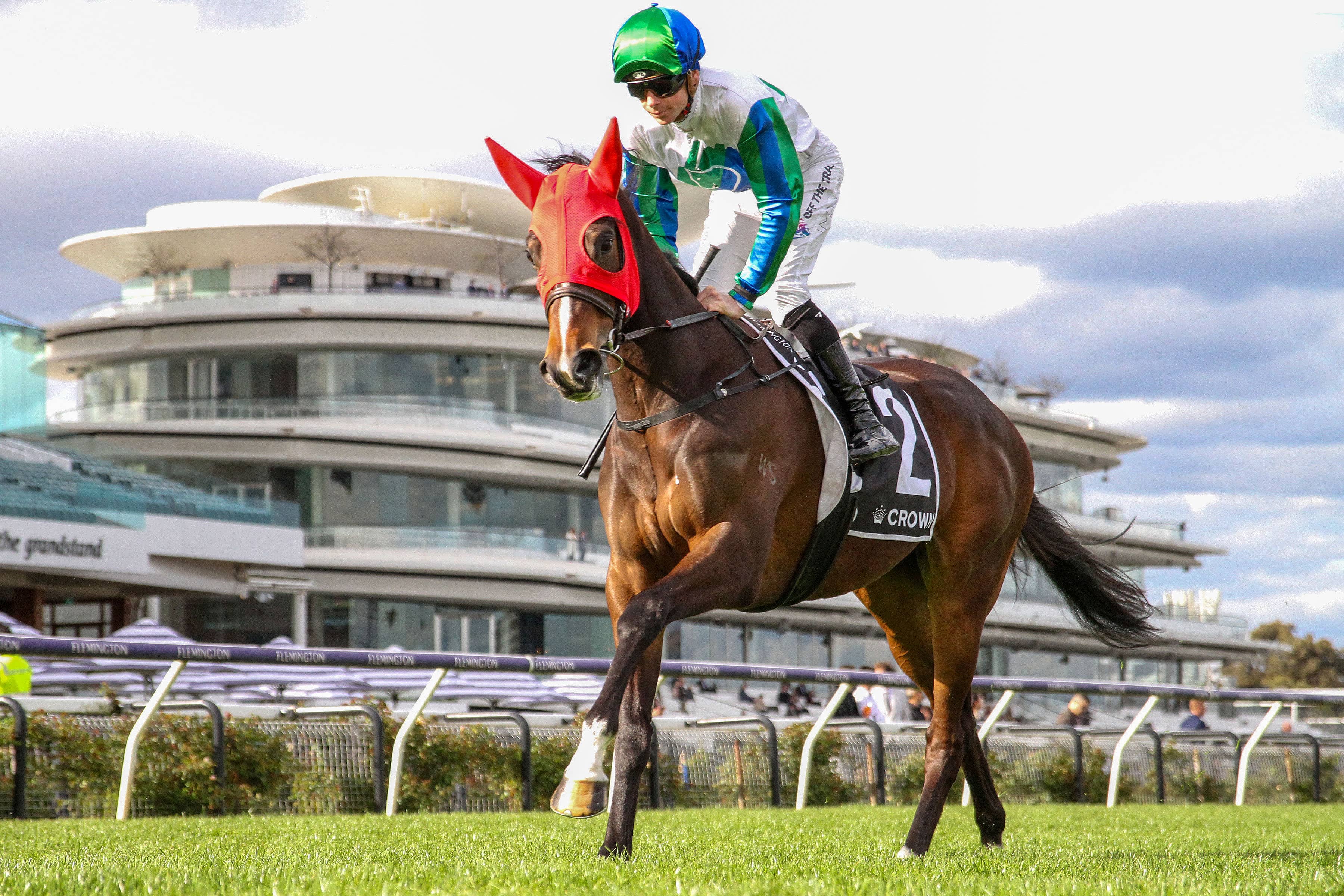 Value Racing Tips - Hurry Curry