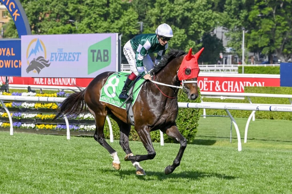 Missile Stakes Tips, Predictions & Best Bets: Angel Capital