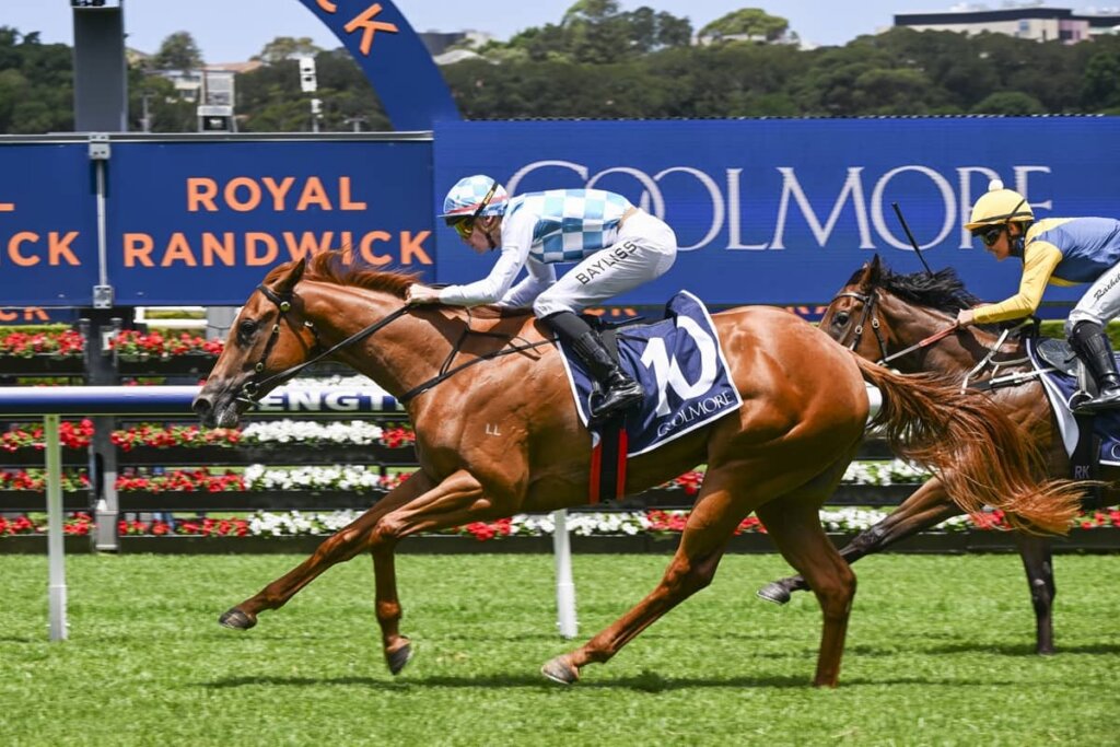 Saturday value racing tips: By Choice