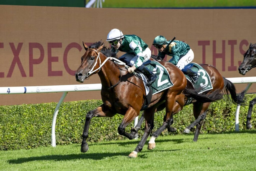 Saturday Roughie Tips - Under Focus