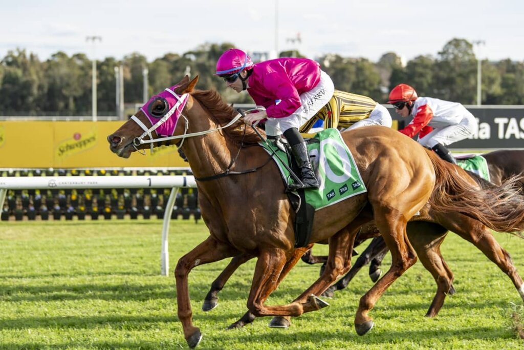 Saturday Value Roughies - Blenheim Girl