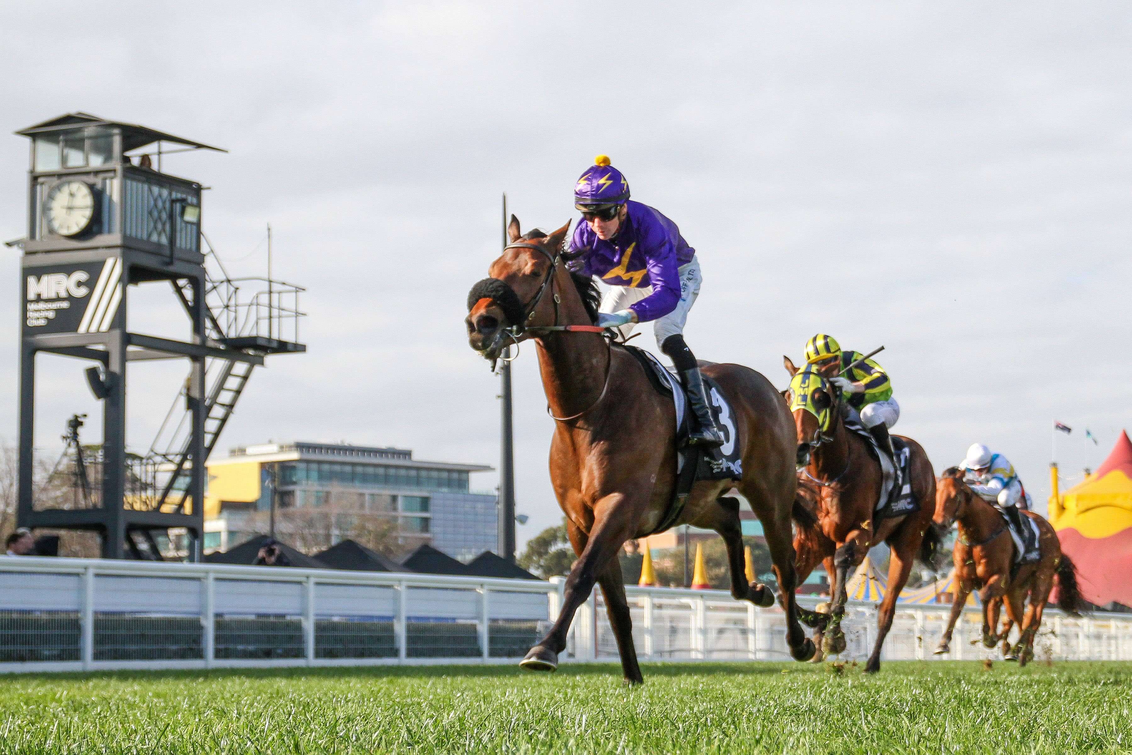 Roughies to Tip on Saturday - Harry's Yacht