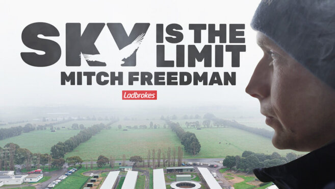 Mitch Freedman | Skybird