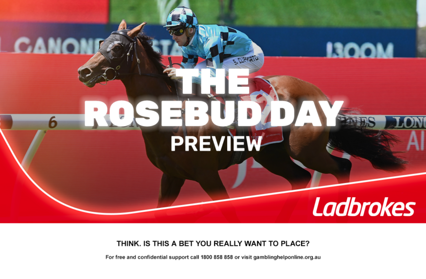 2026 The Rosebud Day Preview