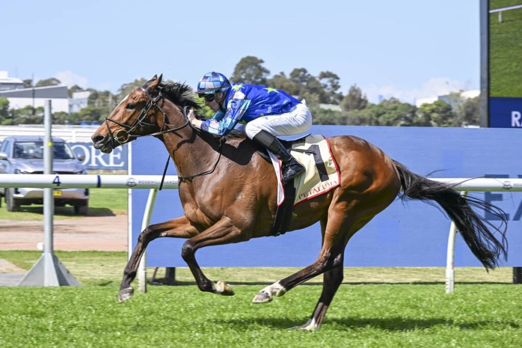 Roughie Racing Tips: Juja Kibo