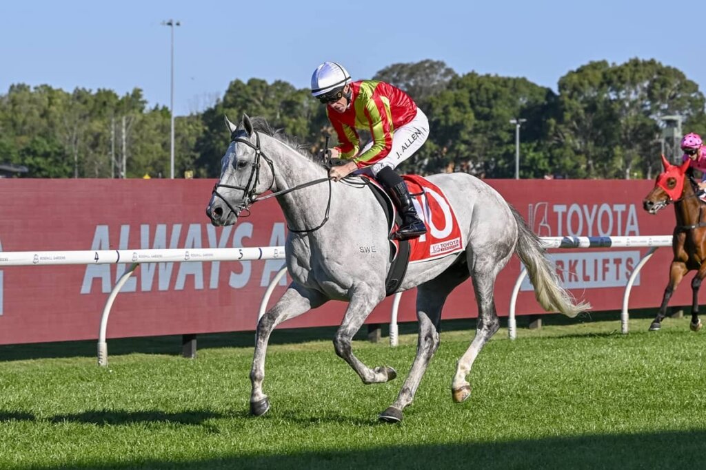 Saturday Value Racing: Kingswood