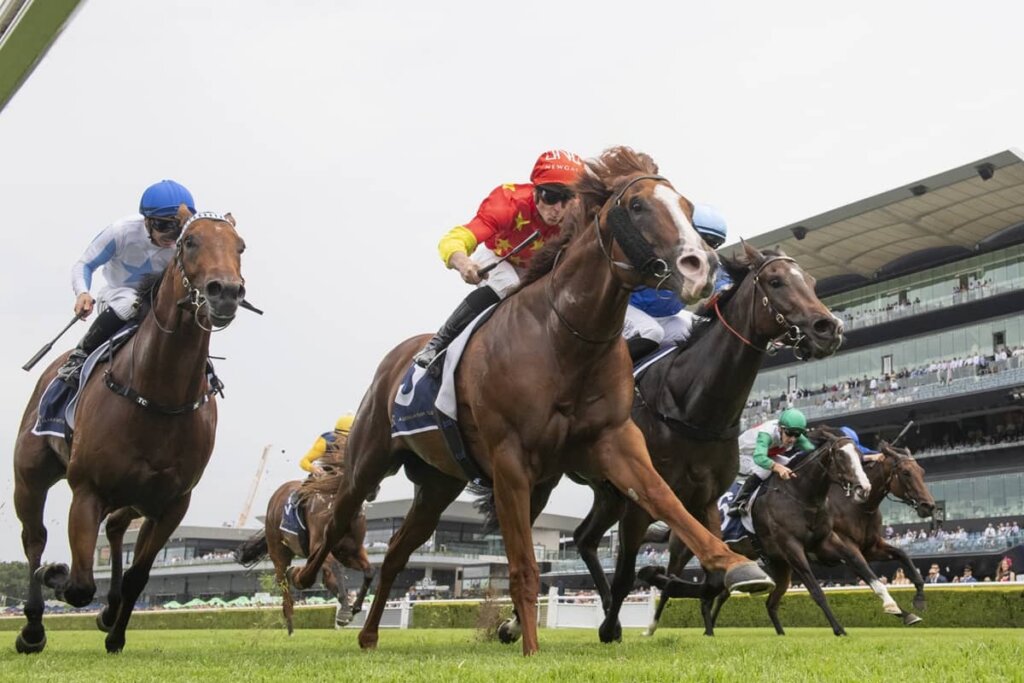 Saturday Roughie Selections: Beadman