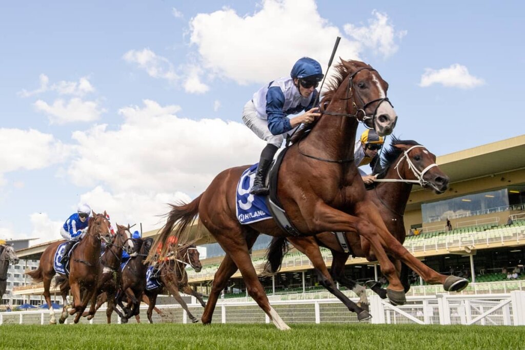 Value Racing Tips: Seraphox