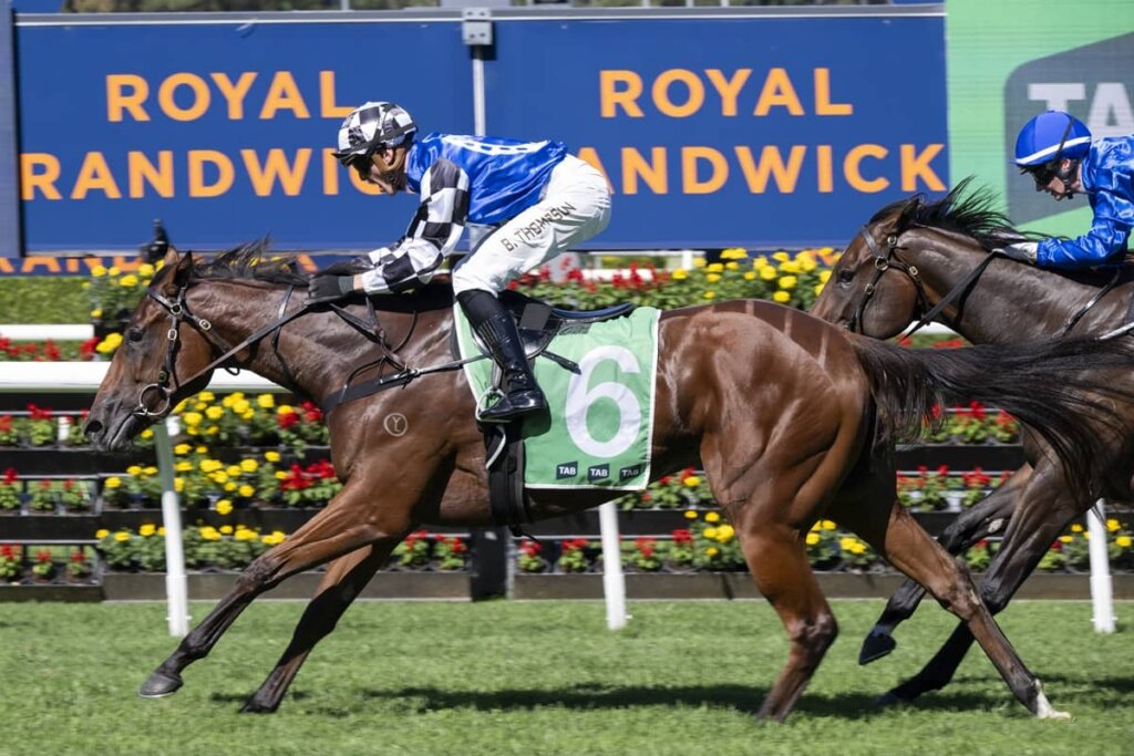 Saturday Roughie Tips - Cherry Bomshell