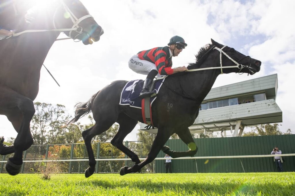 Value Racing Tips: Stormy Marco