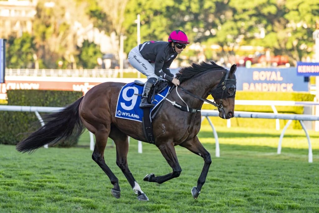 Value Racing Tips: Soothsayer
