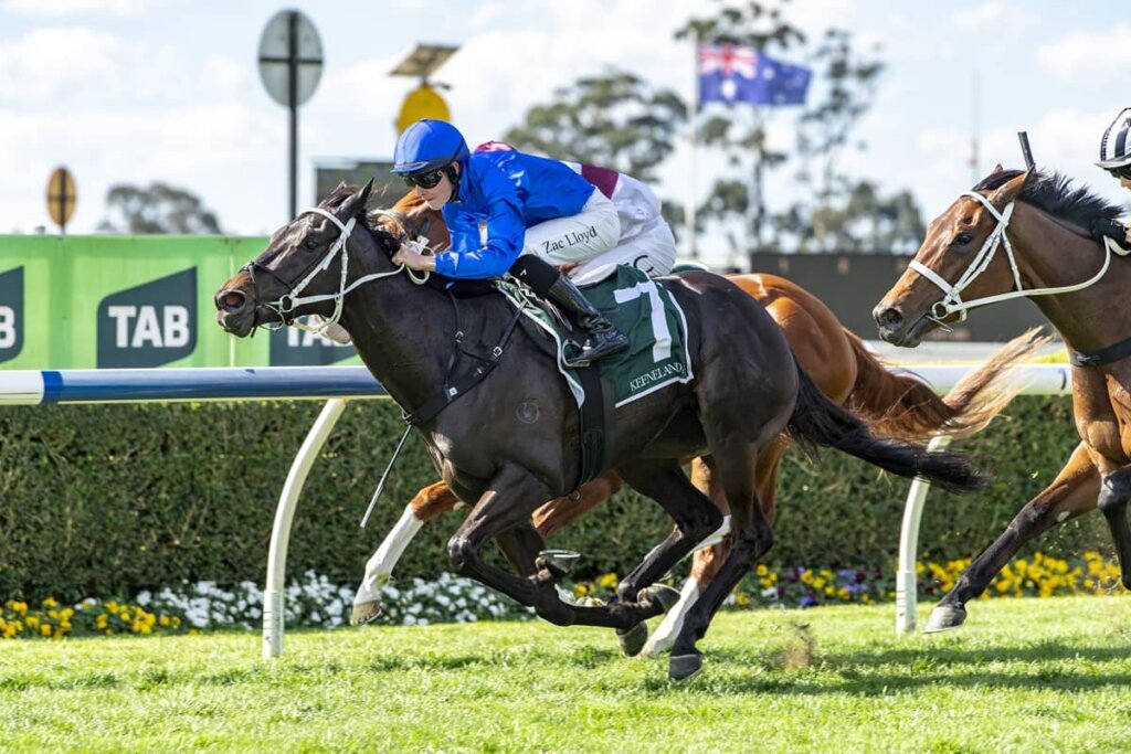 Value Horse Racing Tips: Sequinned