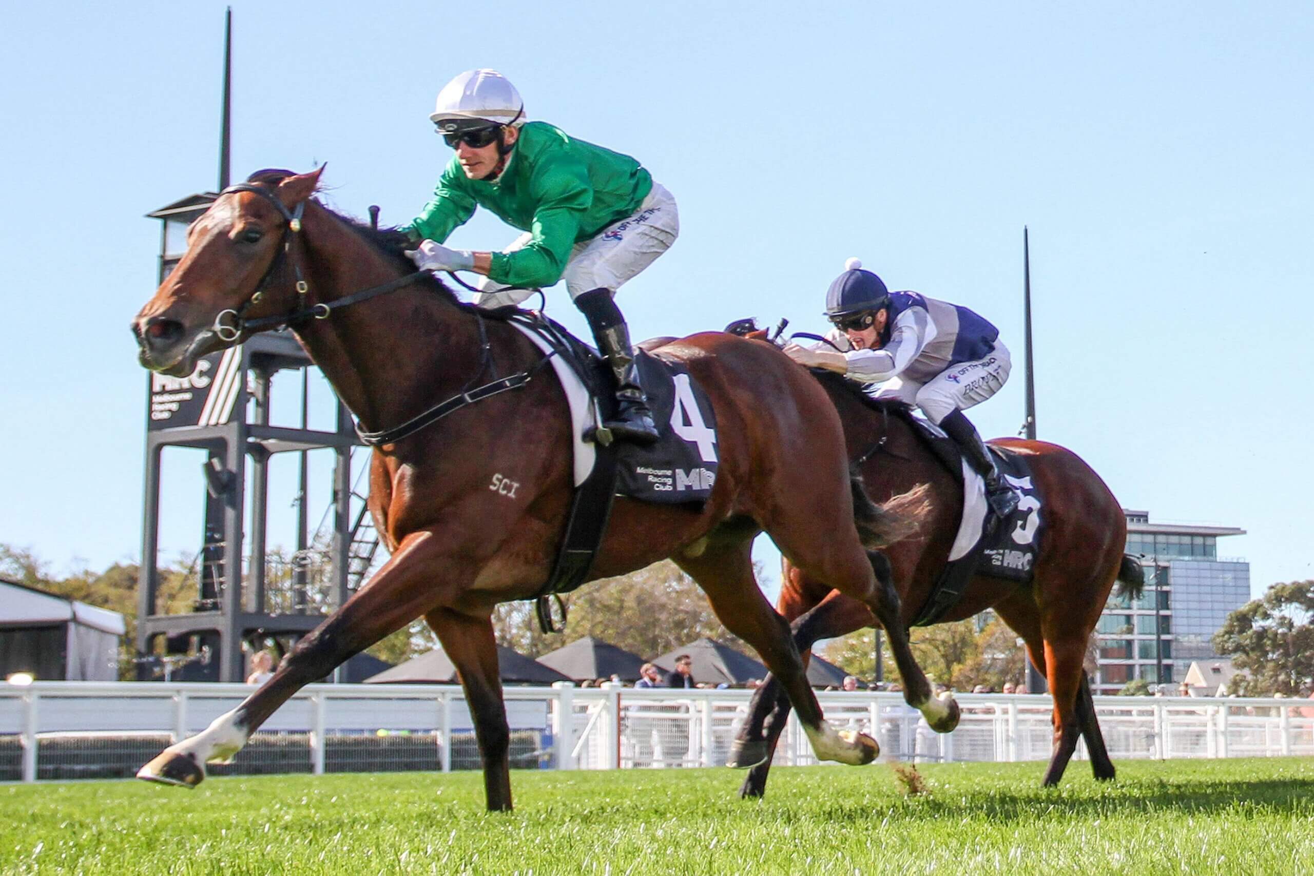 Saturday Roughie Tips: Hearcomesthestar
