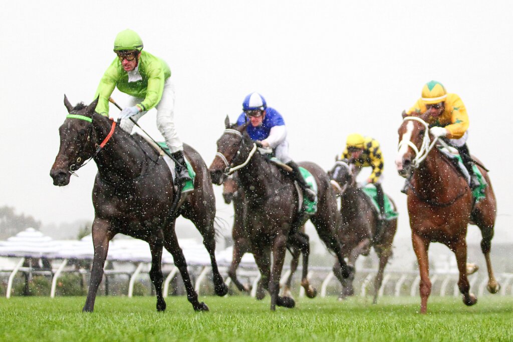 Saturday Roughie Tips: Too Darn Discreet
