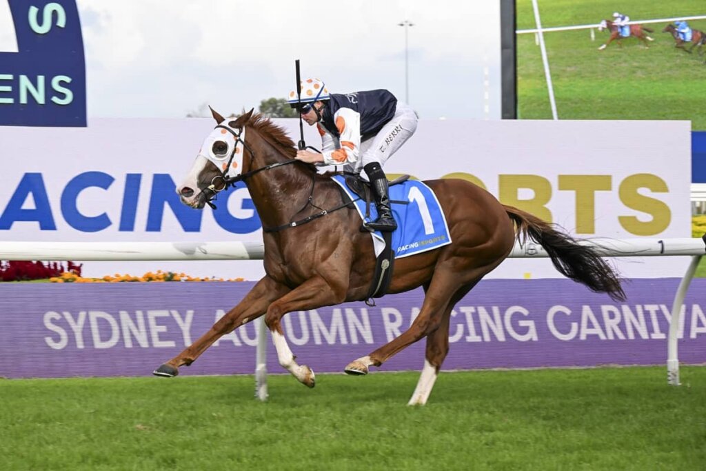 Group 1 Racing Roughie Tips: Just Folk