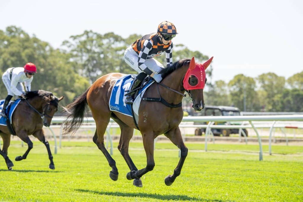Saturday Roughie Tips: Fireball Miss