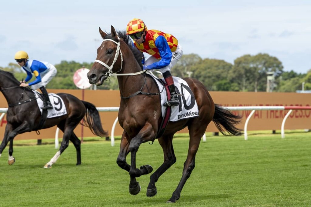 Caulfield Guineas Roughie Tip: Somethings Burnin’