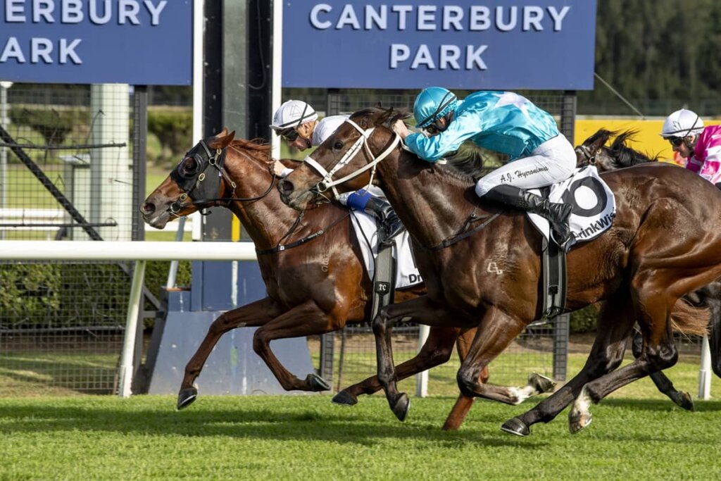 Roughie Selections for Saturday: The Machine Gun