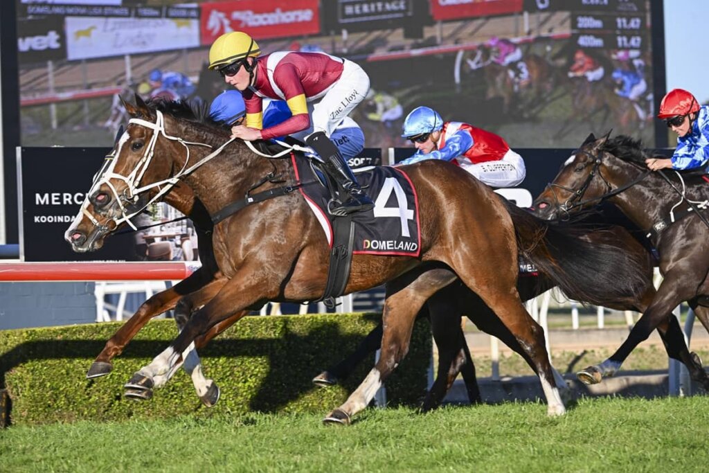 Value Racing Tips: Modella