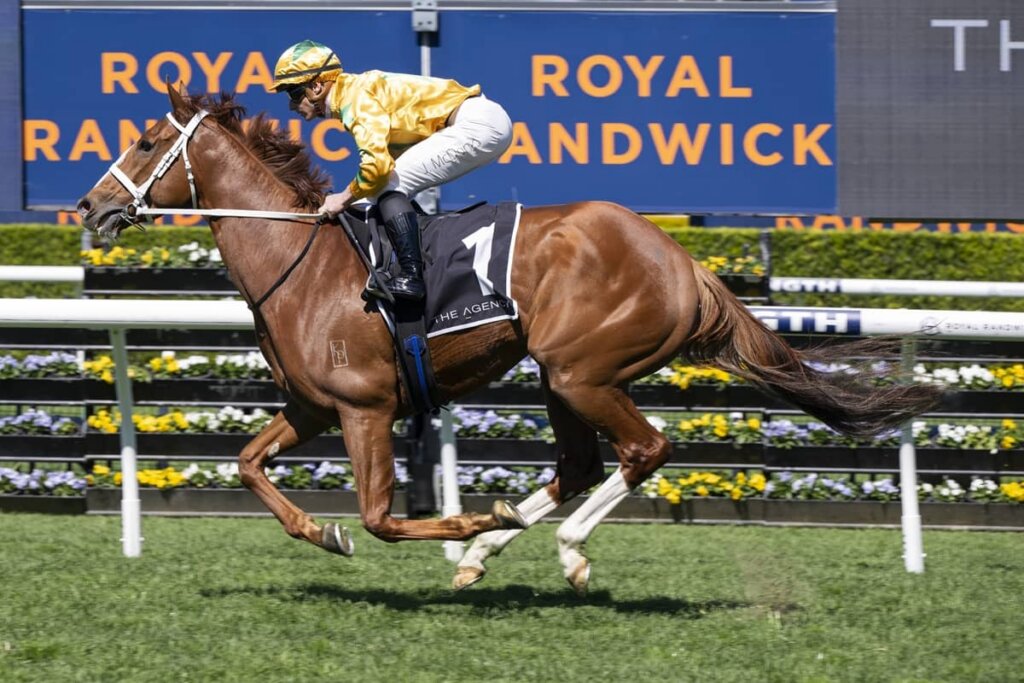 Group 1 Roughie Tips: Declichy Boulevard