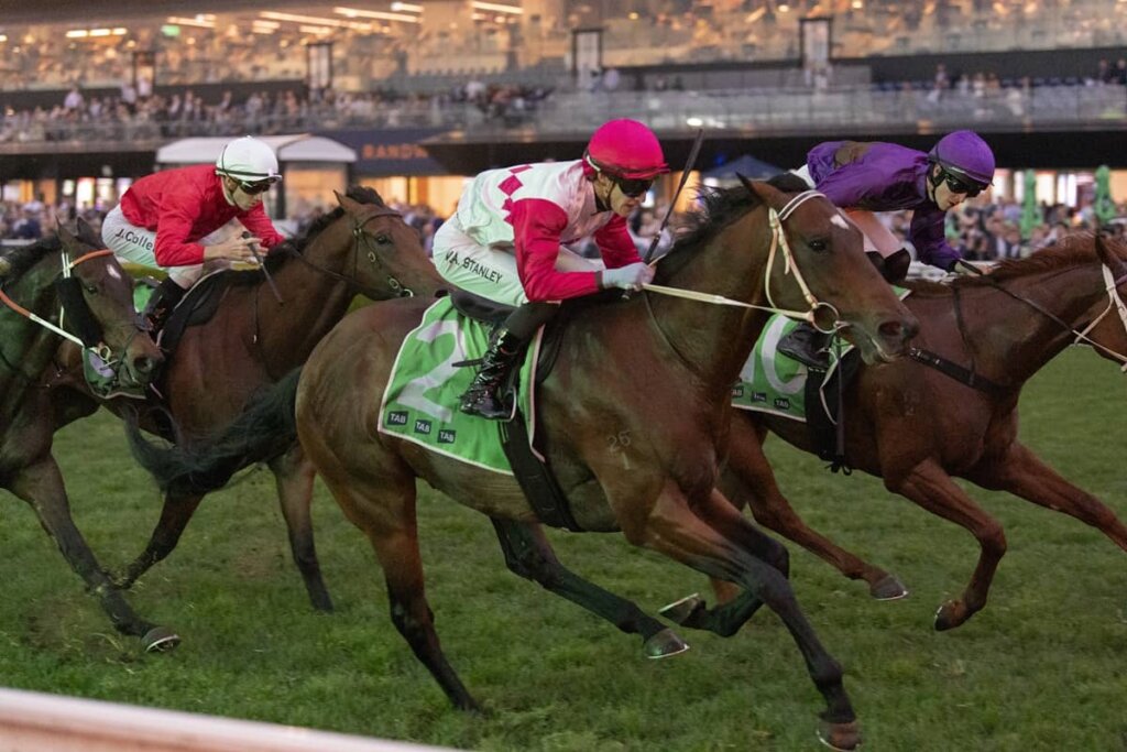 Saturday Roughie Tips - Wanaruah