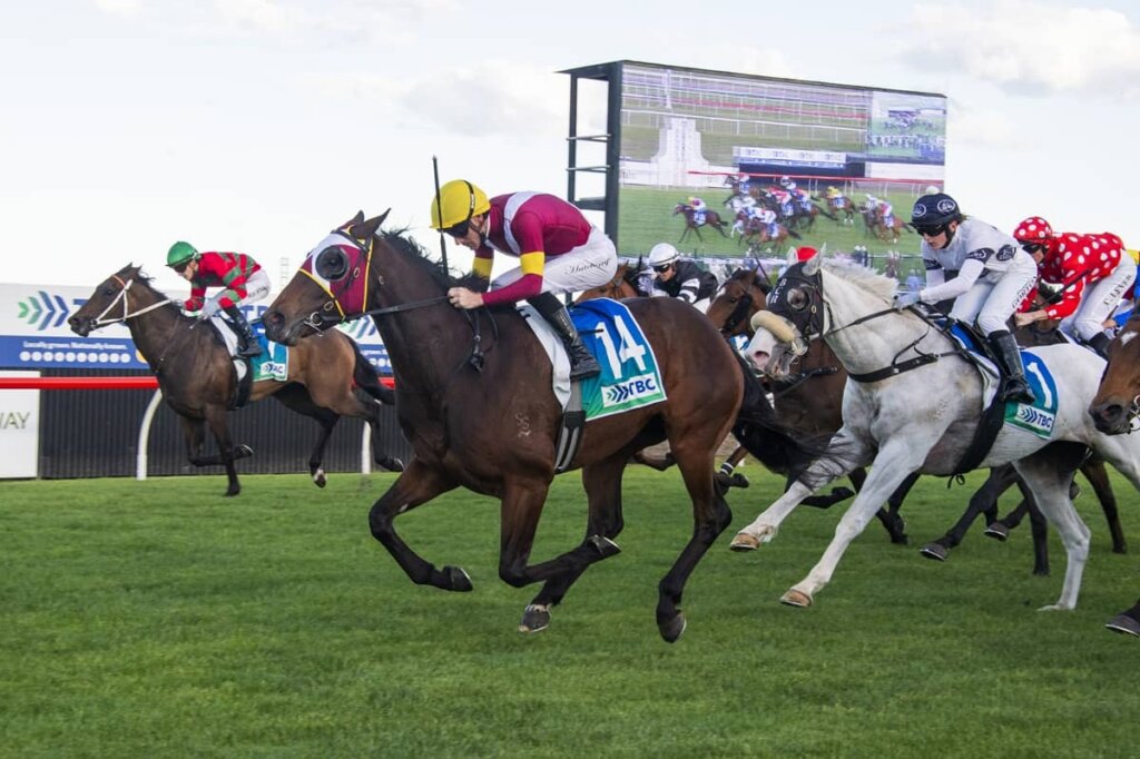 Sydney Racing Roughies: Gridlock