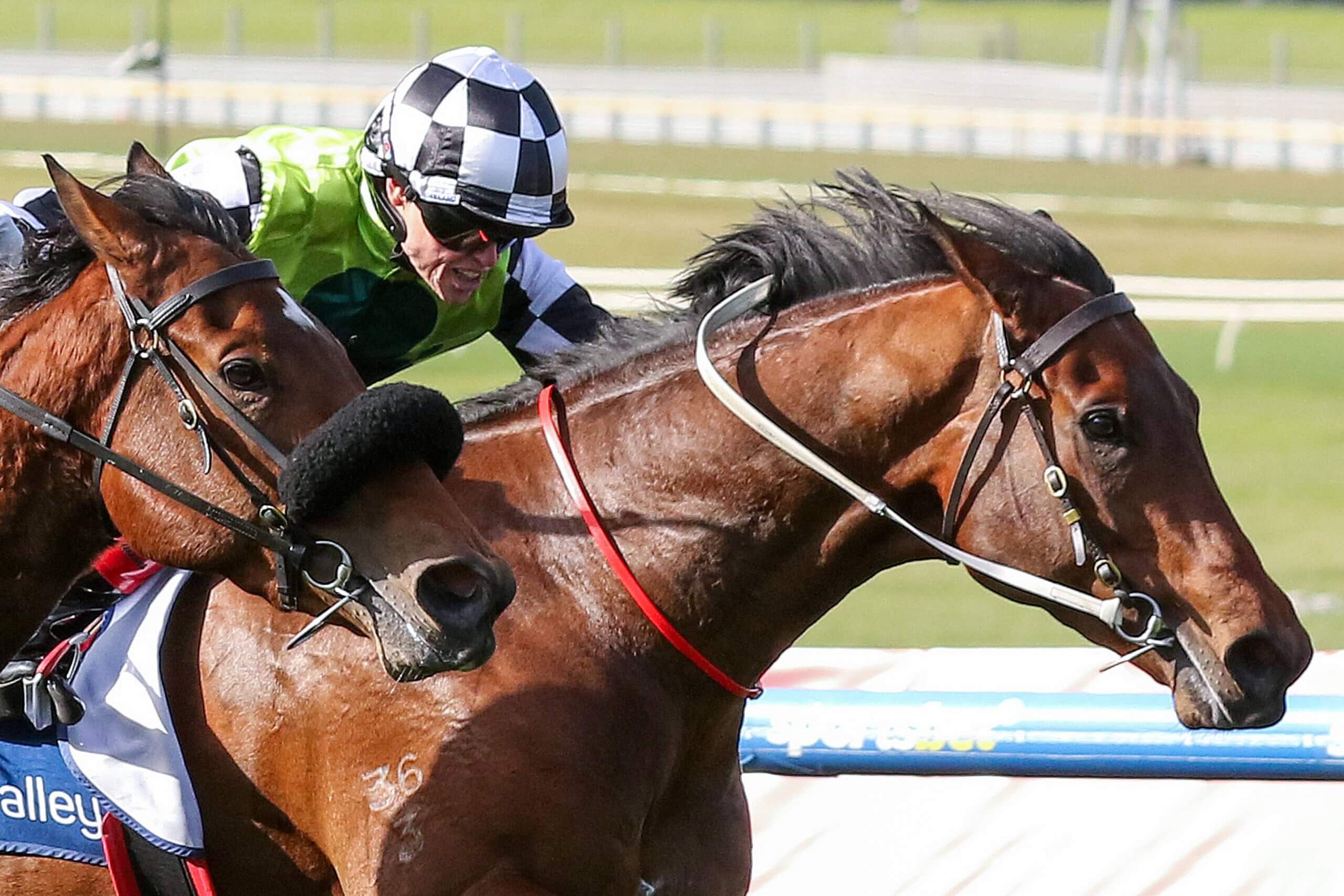 Saturday Racing Tips: Buggsy