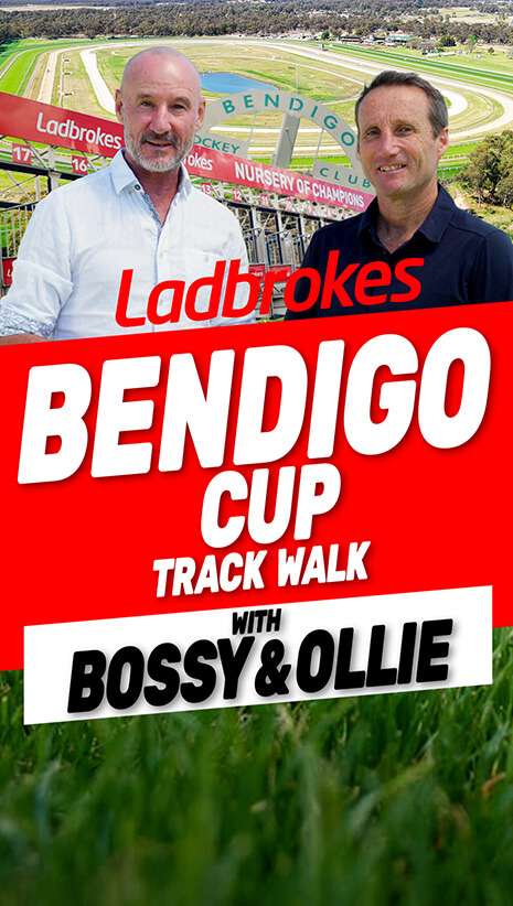 Bendigo Track Walk With Bossy & Ollie | Short