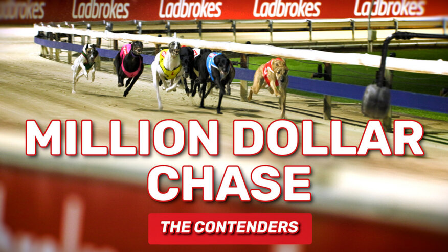 Million Dollar Chase | The Contenders