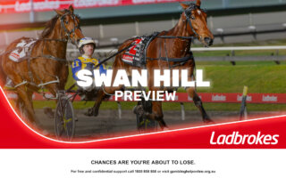 Swan Hill Preview